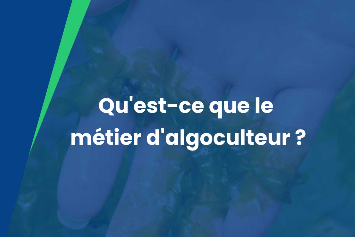 qu-est-ce-que-metier-algoculteur