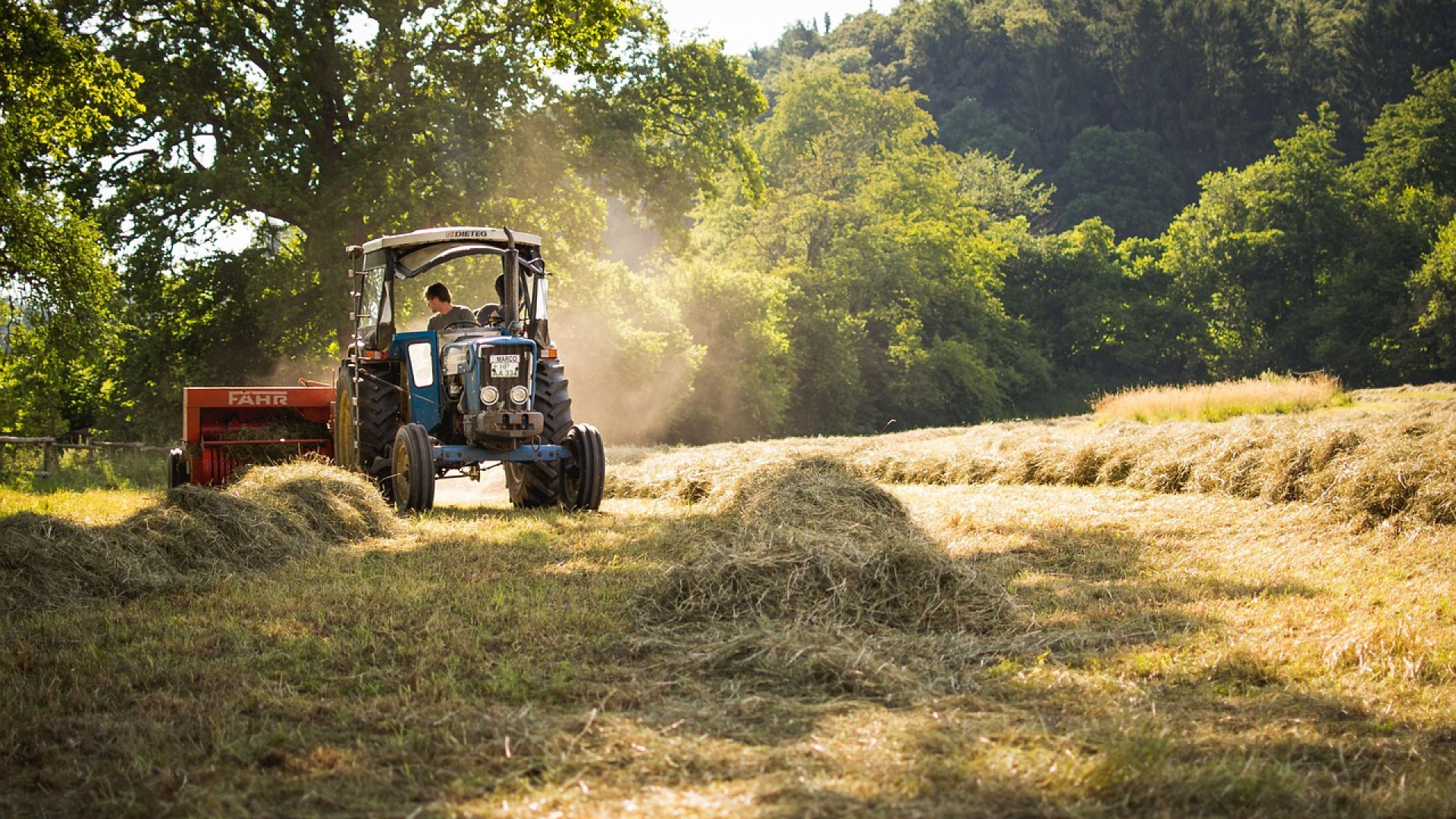 Et si la Normandie était l'endroit idéal pour s'installer en tant qu'agriculteur ?